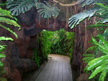 0703夢の島熱帯植物館60トンネル.JPG