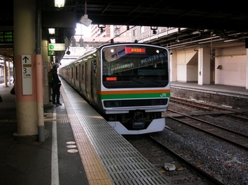 20100109(22)-1湘南新宿ラインE231系入線.JPG