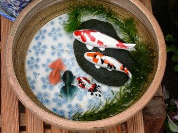 20100923(55)鉢の鯉と金魚.JPG