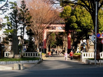 20110109(01)氷川神社１.JPG