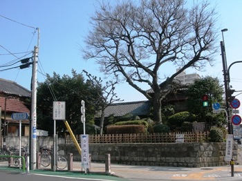 20110227(04)志村一里塚.JPG