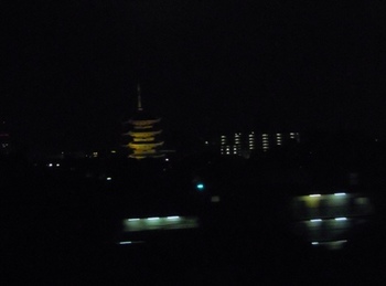 20121128(6)夜の東寺.JPG