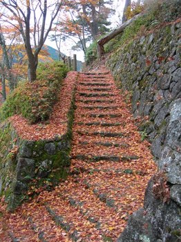 吉野詣(14)-2落ち葉の階段.JPG